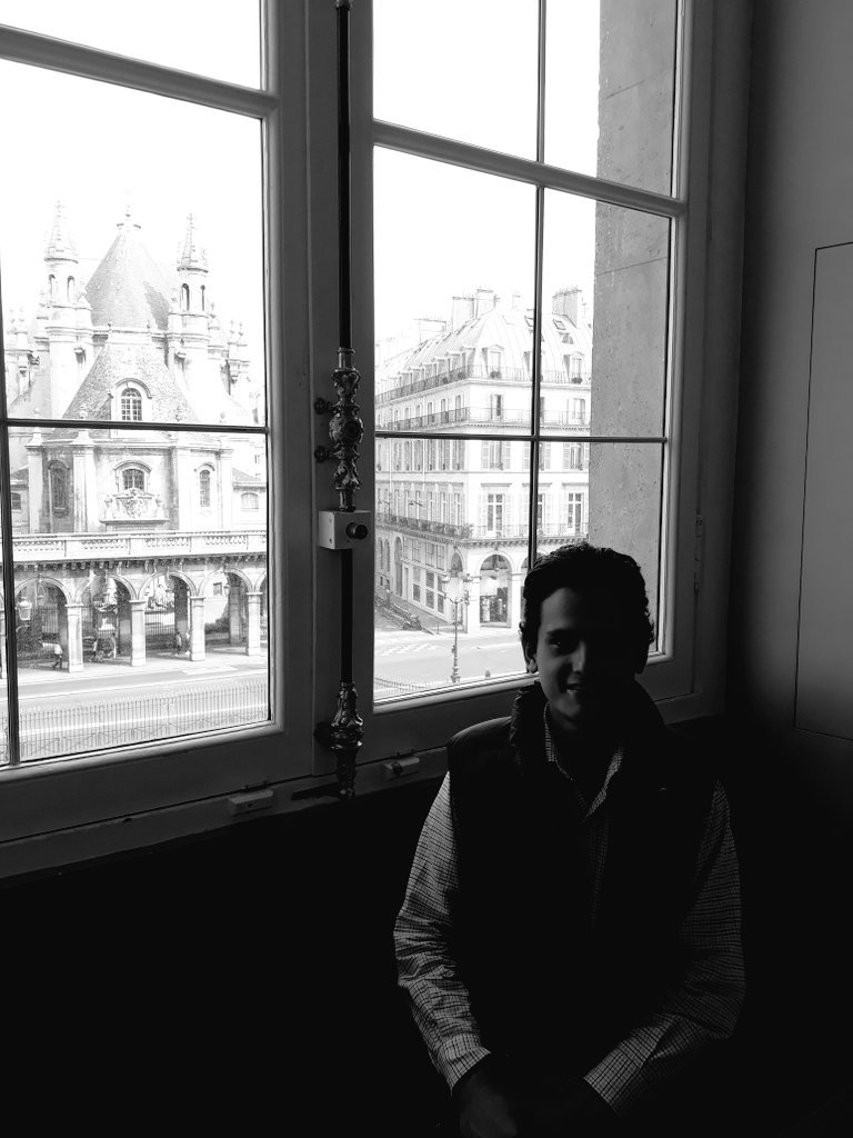 Arash in the Louvre Museum overlooking Paris 