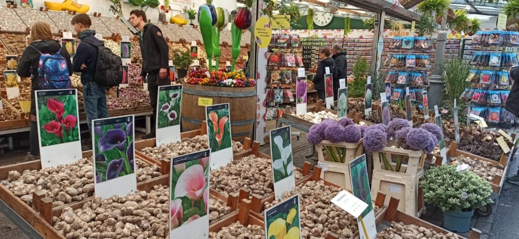 Floating market in Amsterdam