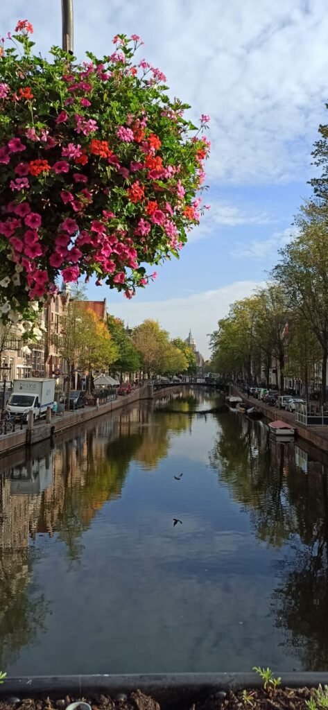 River in Amsterdam